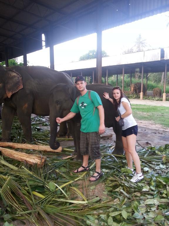 Elephant Reach Villa Pinnawala Pinnawala  Buitenkant foto