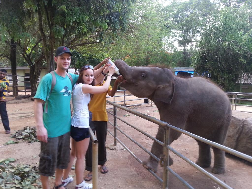 Elephant Reach Villa Pinnawala Pinnawala  Buitenkant foto