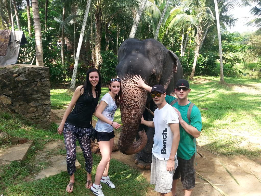 Elephant Reach Villa Pinnawala Pinnawala  Buitenkant foto