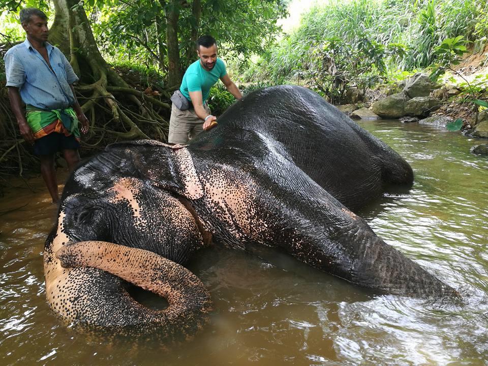 Elephant Reach Villa Pinnawala Pinnawala  Buitenkant foto